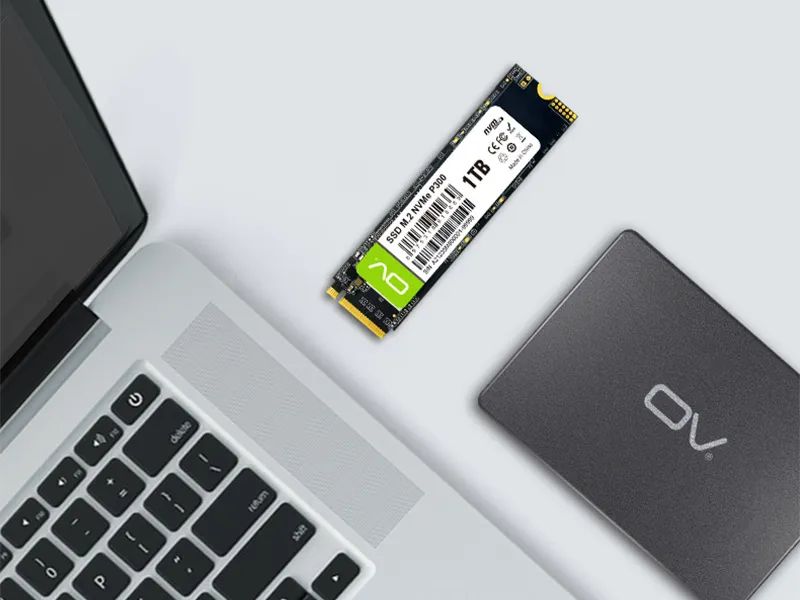 OV SSD which includes SATA and PCle interface